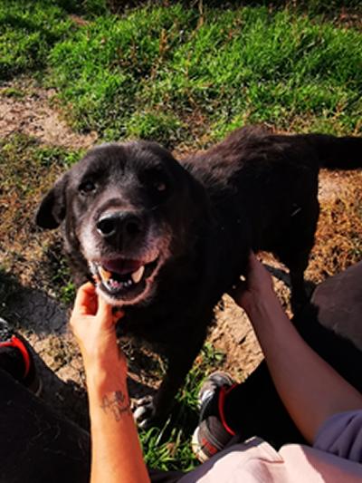 Crnilo – Notfall!!