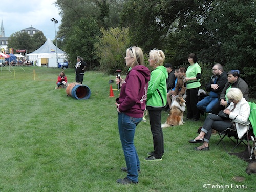 li. Isabell stellt Pit, Uno und Alisha vor, re. Hundetrainerin Marion Haas