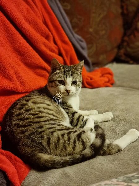 Felix ist bereit für seine neue Familie