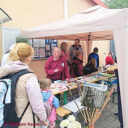 Frühlingsfest 2025 – Jugendgruppe Stand